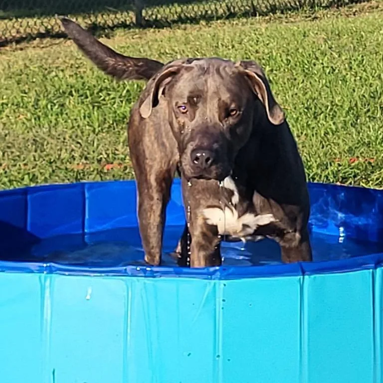 Washington thumbnail 2