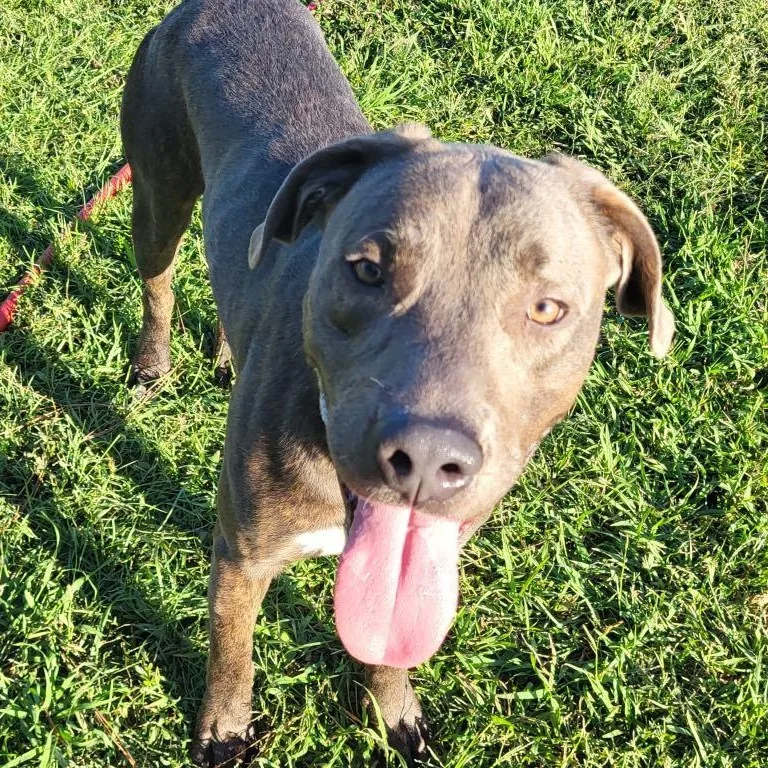 Washington thumbnail 3