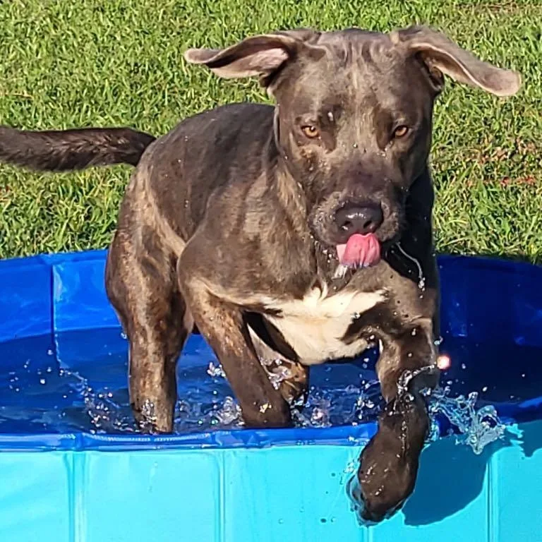 Washington thumbnail 4