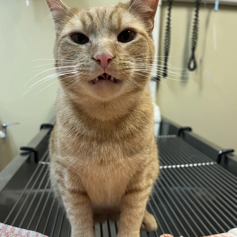 Sun Spot thumbnail 5