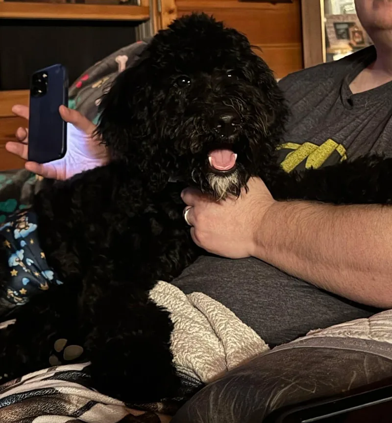 Hufflepuff thumbnail 5