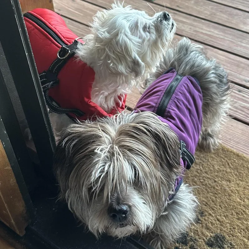 May Bonded W Paris thumbnail 5