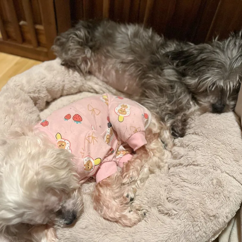 May Bonded W Paris thumbnail 6