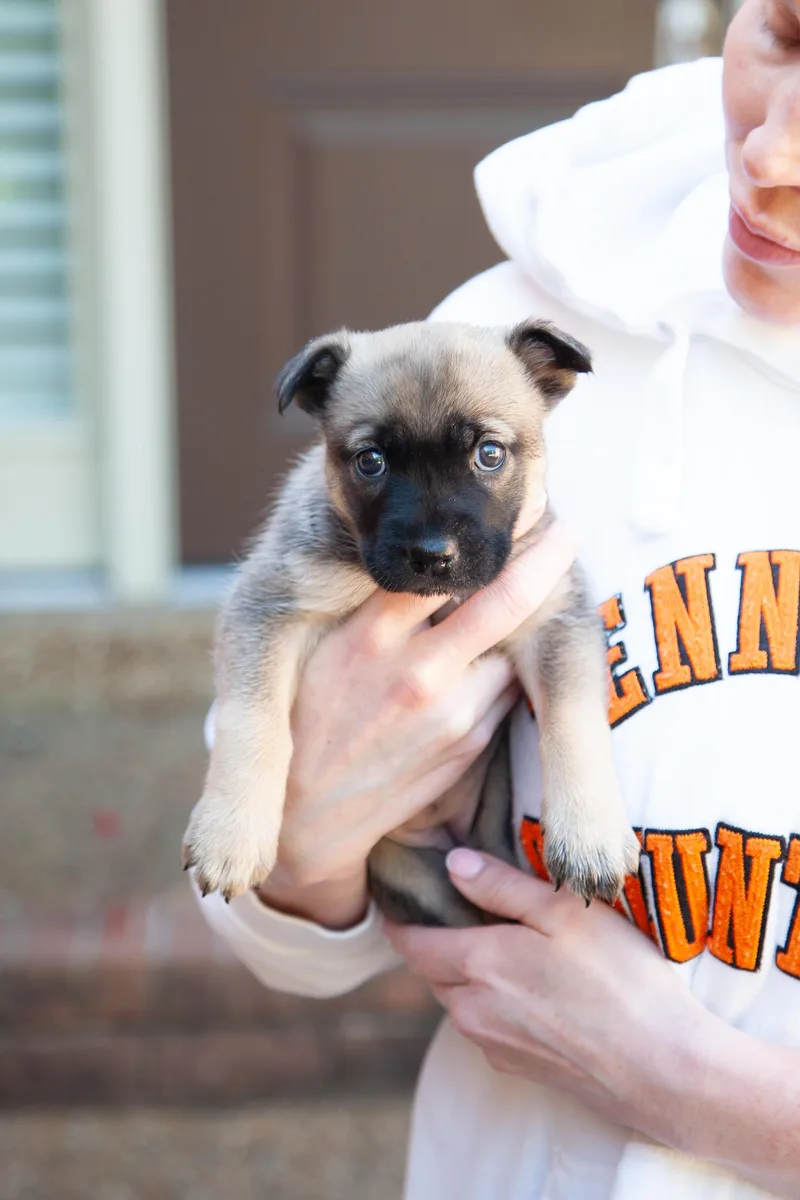 Dora thumbnail 2