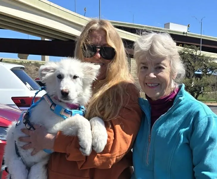 Bunny Sat thumbnail 6