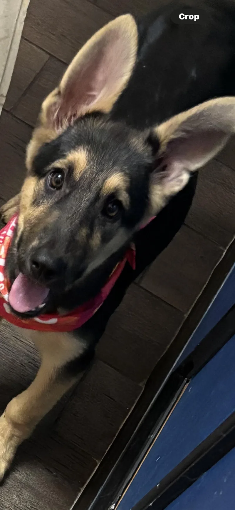 Ms. Alissa thumbnail 2