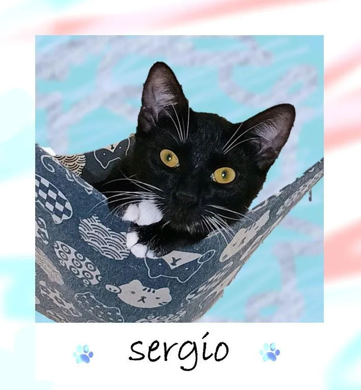 Sergio