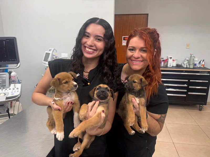 Michelle thumbnail 2