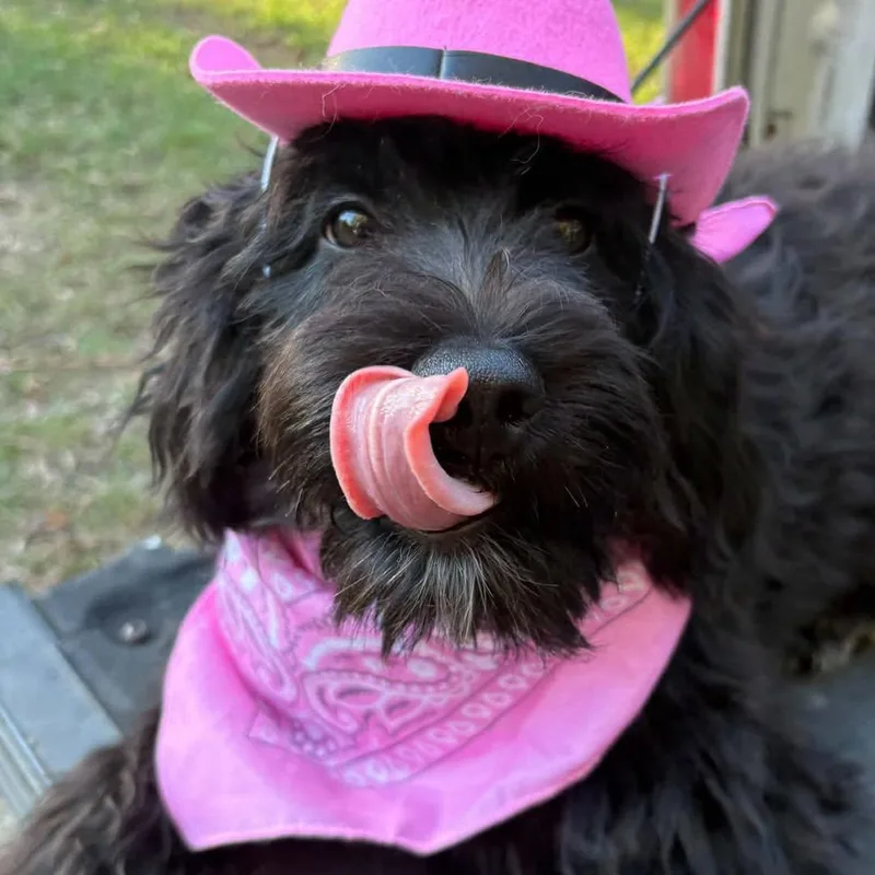 Girly Pop thumbnail 3