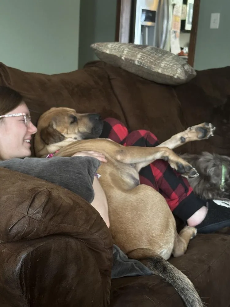 Sweet Pea thumbnail 5