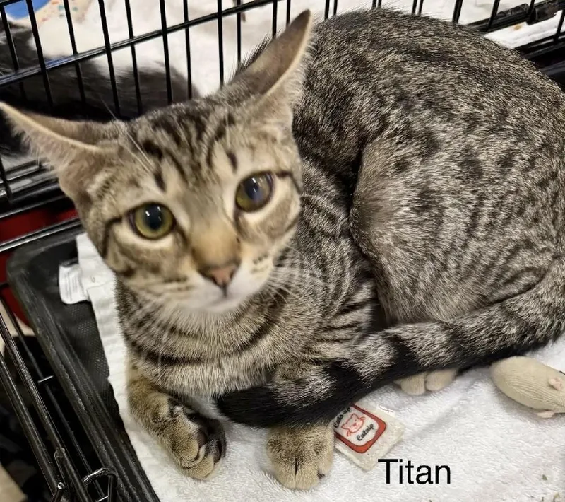 Titan