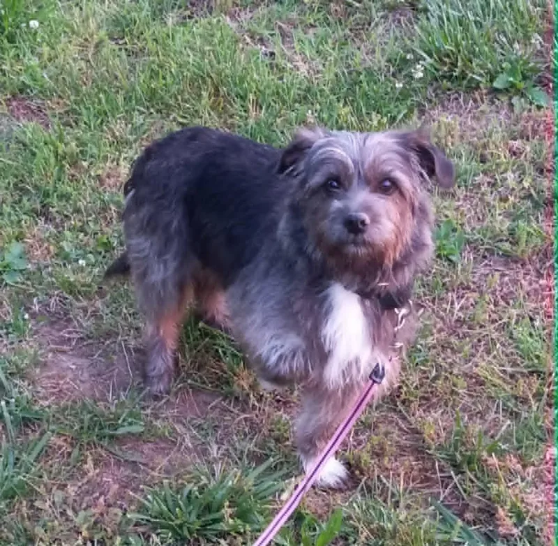 Darlene In Kentucky