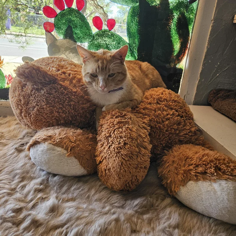 Bobby