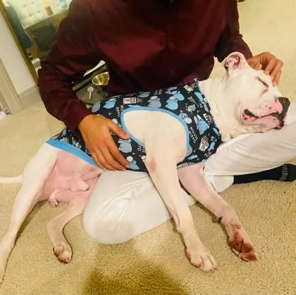 Snickers thumbnail 2