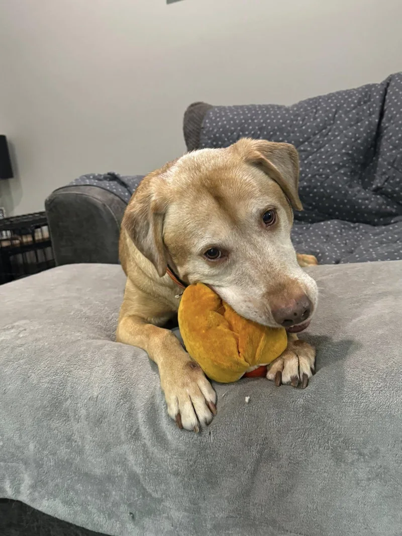 Charlamagne thumbnail 2