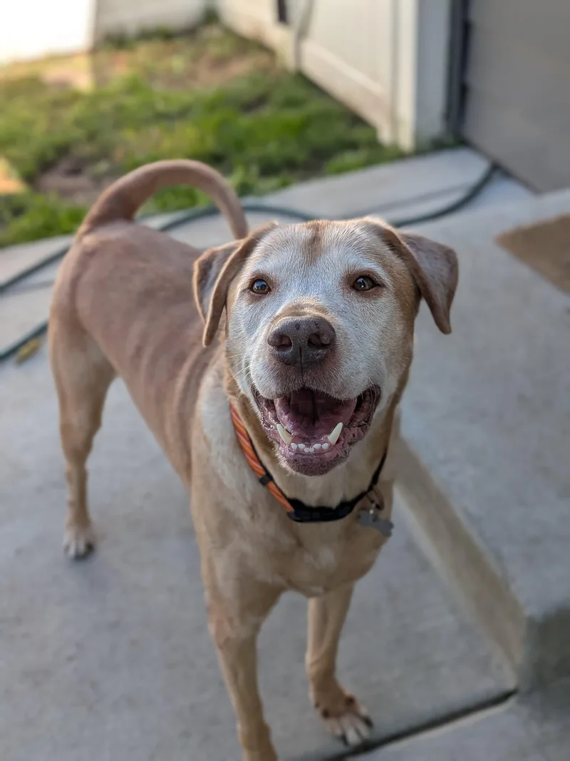 Charlamagne thumbnail 3