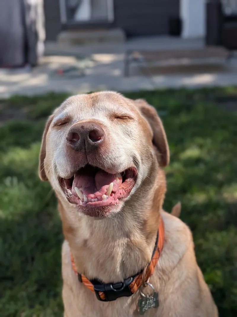 Charlamagne thumbnail 4