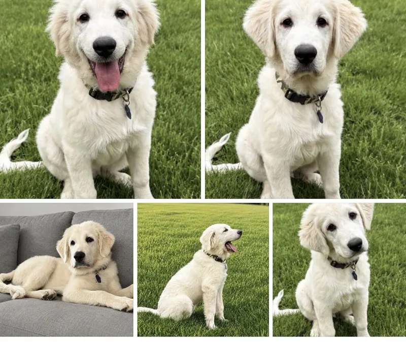 Charlie