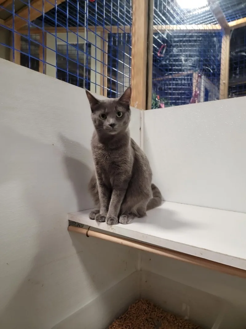 Sonia And Sasha thumbnail 4