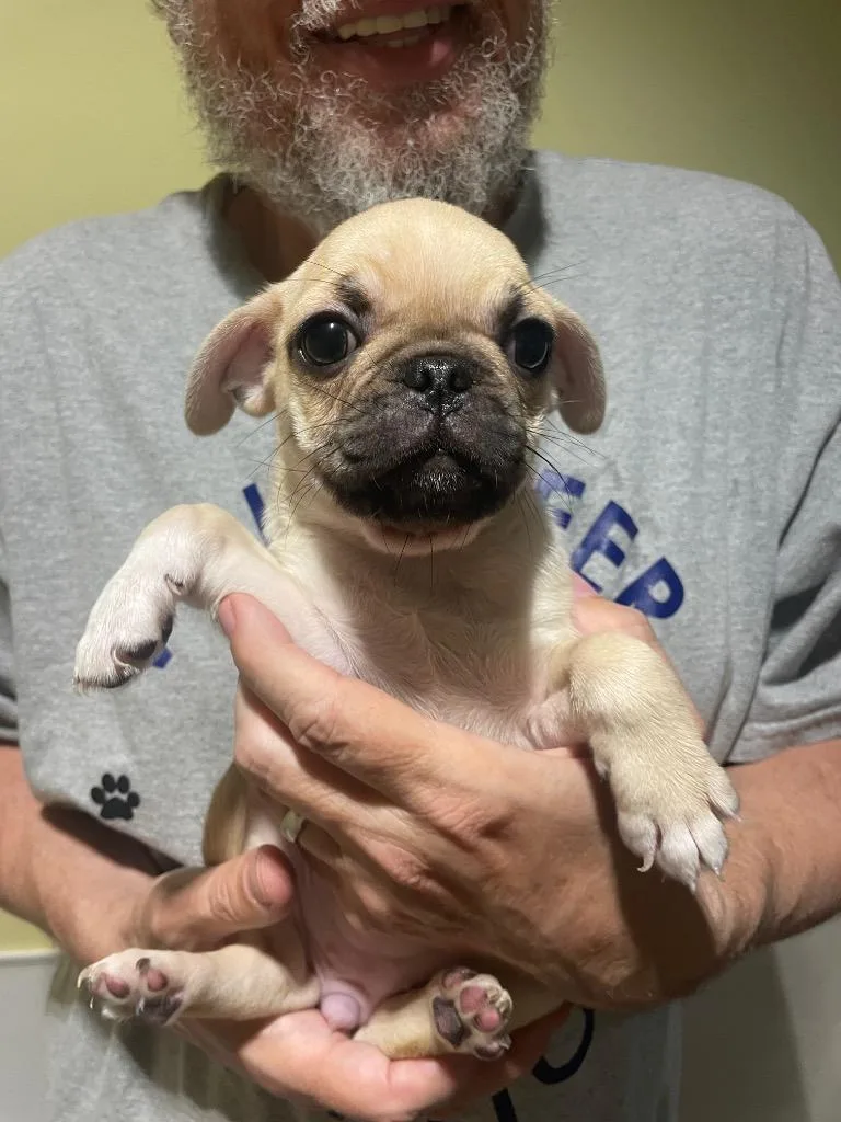 Shenshen thumbnail 2