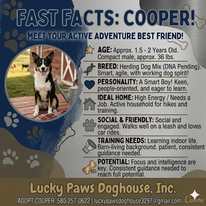 Cooper thumbnail 4