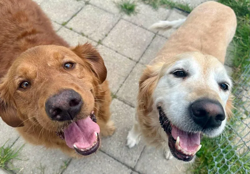 Stormy & Thunder