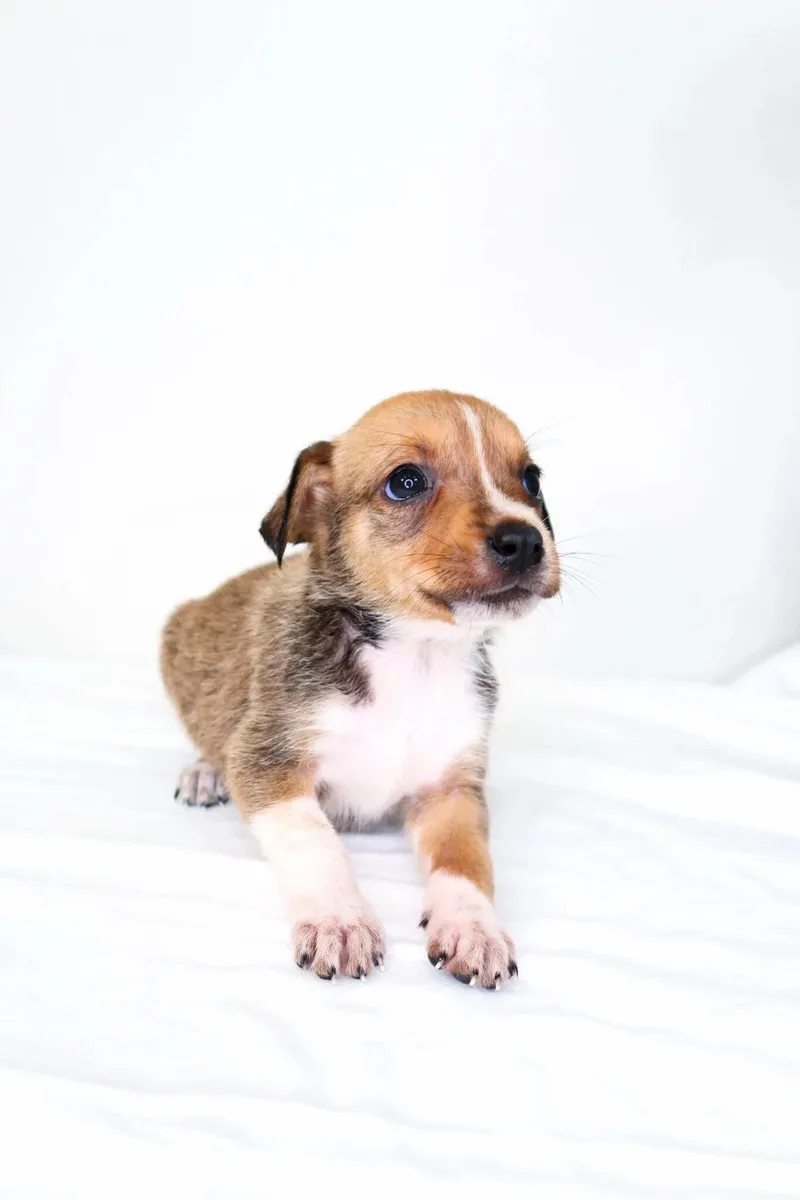 Buildabear thumbnail 2