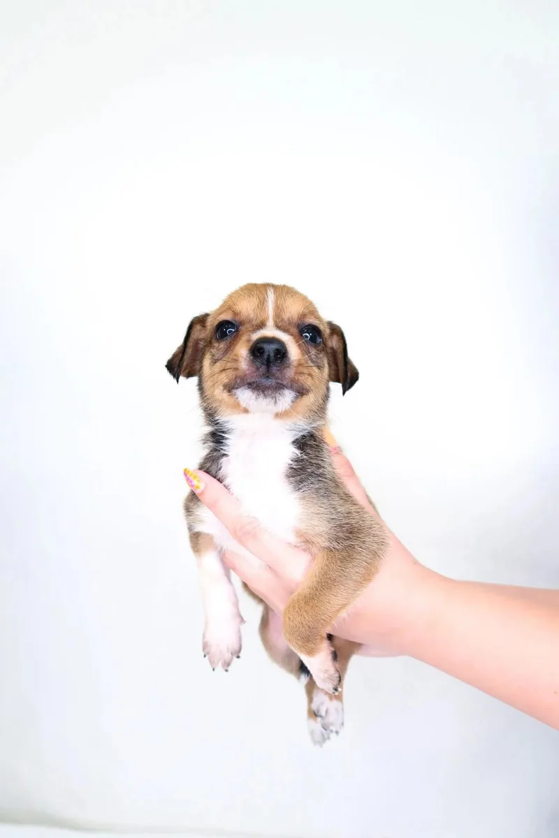 Buildabear thumbnail 3