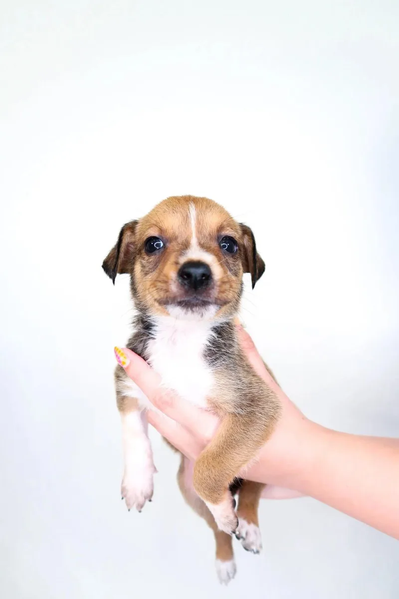 Buildabear thumbnail 5