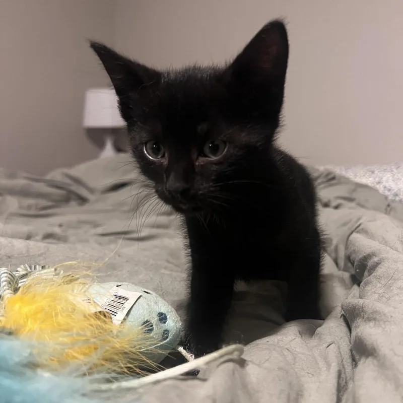 Winnie