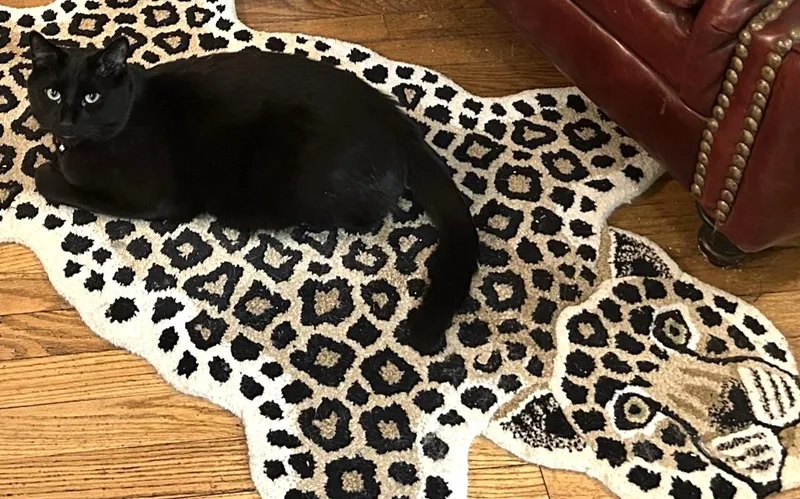 Ellington thumbnail 2