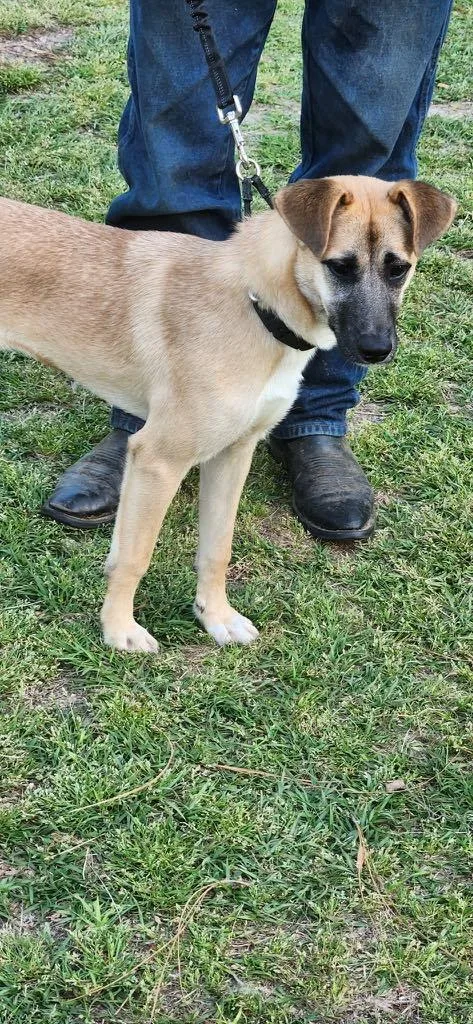 Munchee Aka Alice thumbnail 2