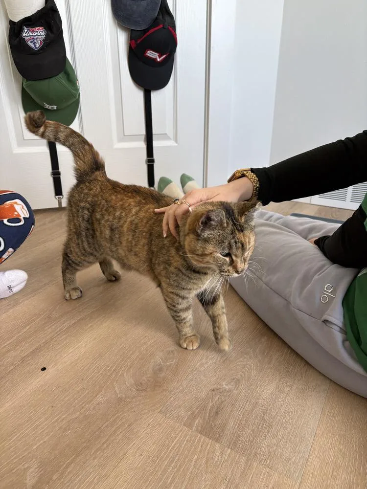 Millie Bonnie Bon Jovi