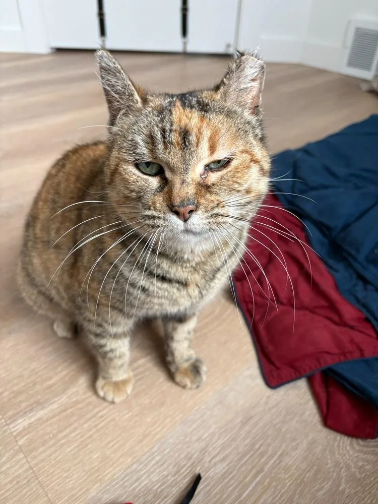 Millie Bonnie Bon Jovi thumbnail 2