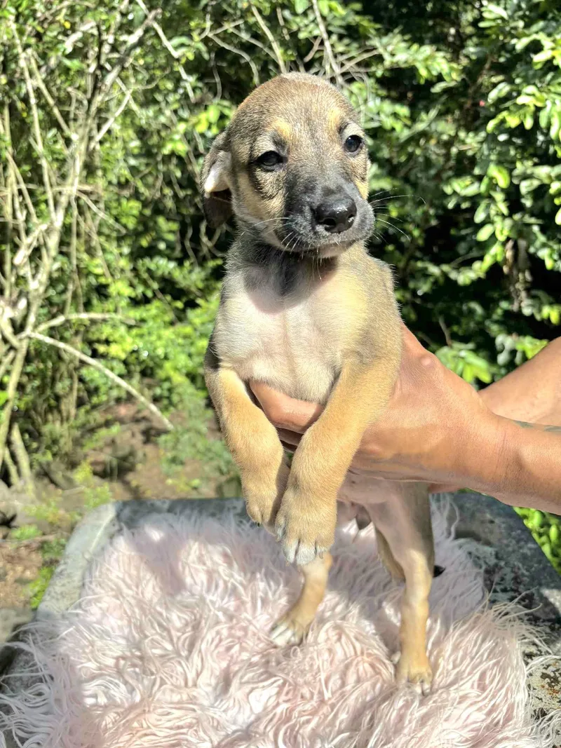 Sweetie "born To Love thumbnail 2