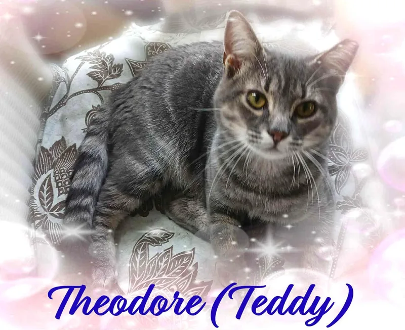 Theodore