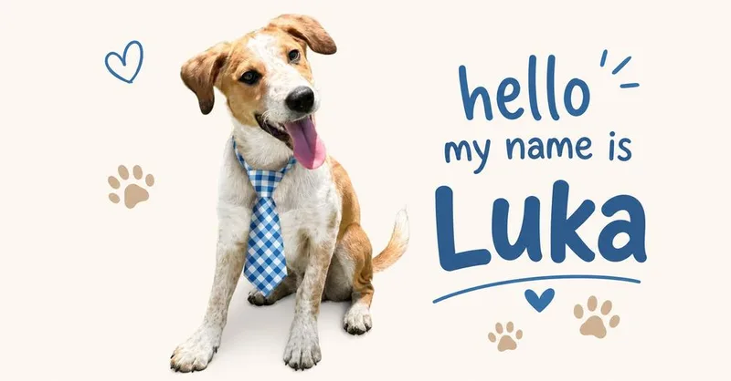 Luka  "I've been thumbnail 3