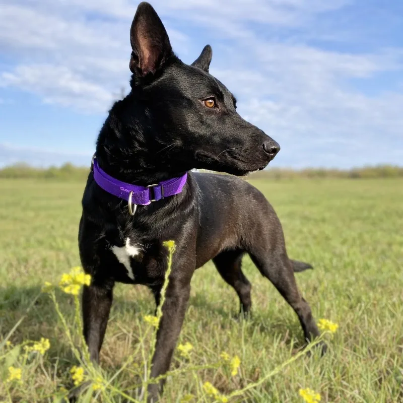 Esmerelda thumbnail 2