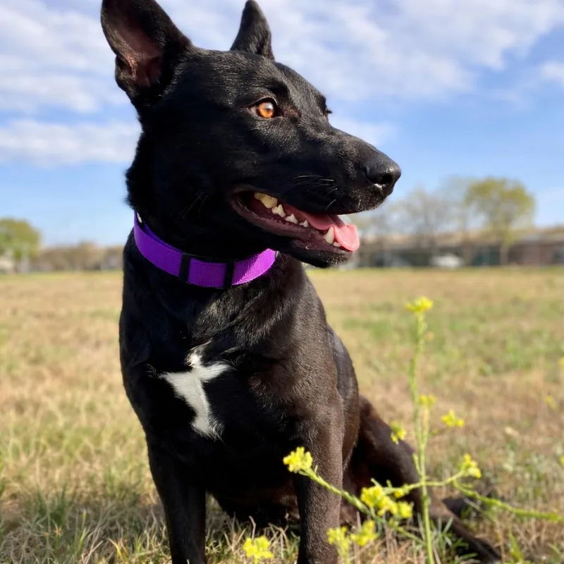 Esmerelda thumbnail 4