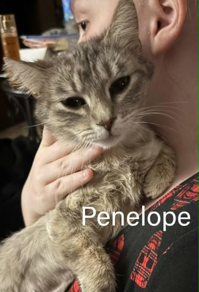 Penelope 'penny'