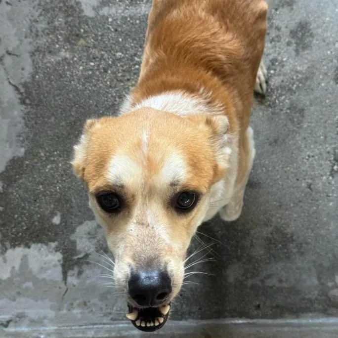 Wiley A thumbnail 2