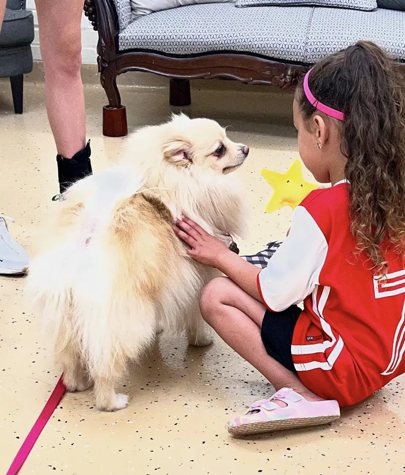 Lady Pomegranate thumbnail 2