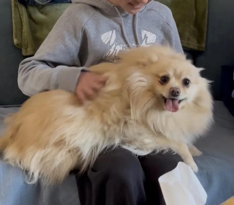 Lady Pomegranate thumbnail 4