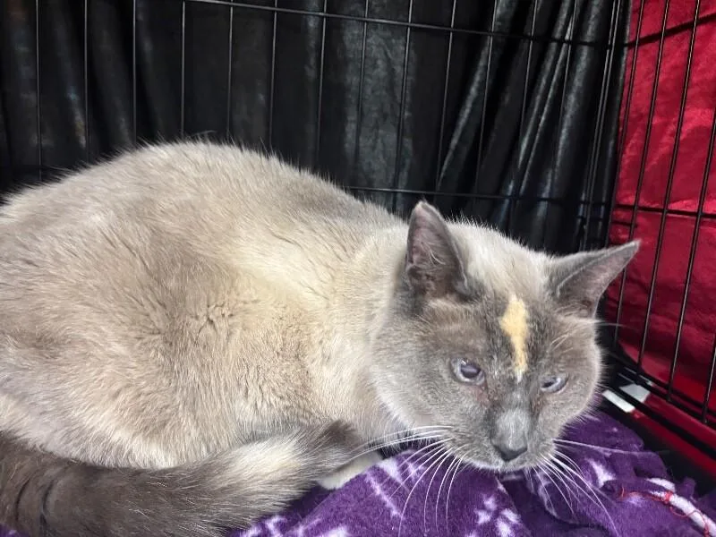 Sabrina