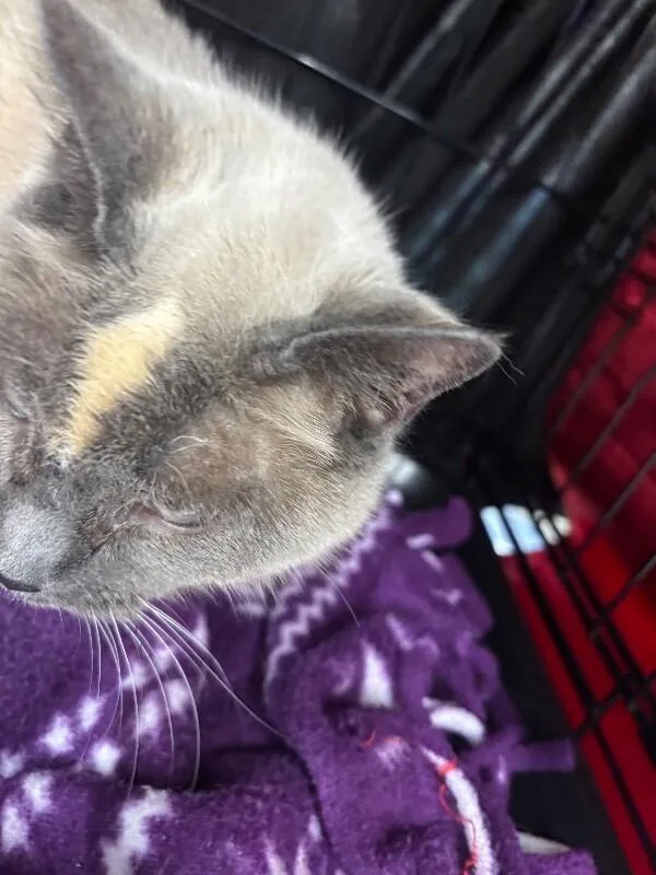 Sabrina thumbnail 2