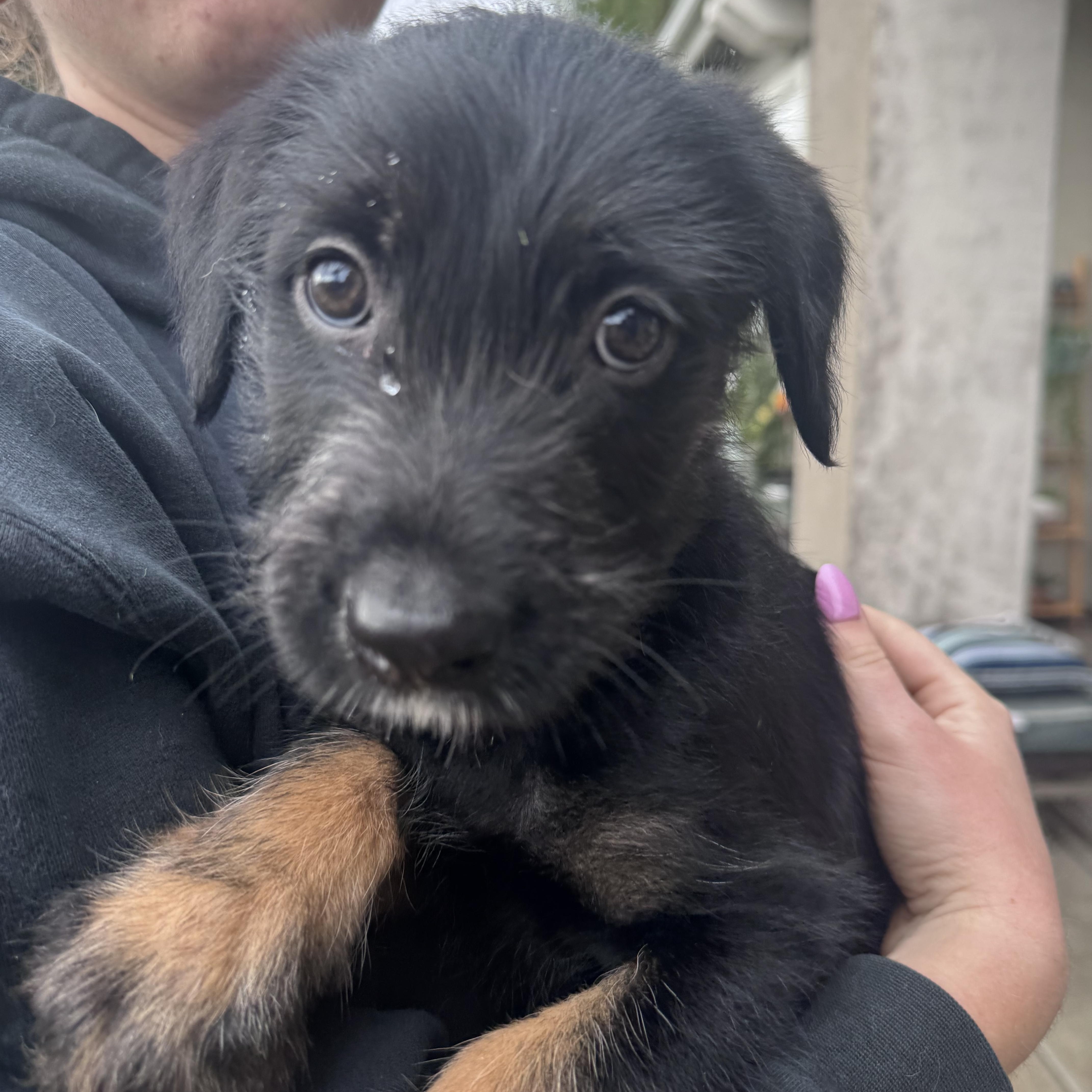 Sprocket thumbnail 2