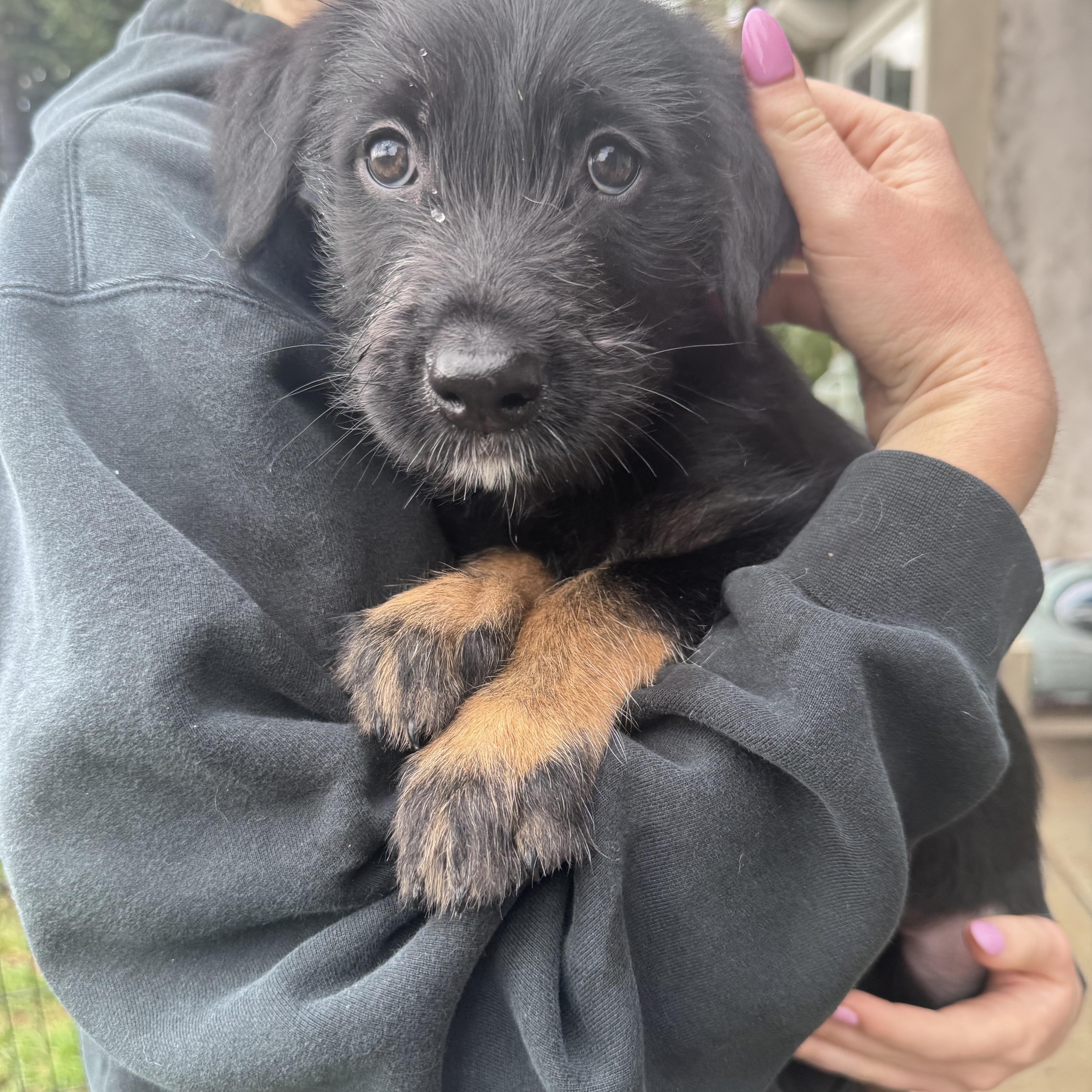 Sprocket thumbnail 3