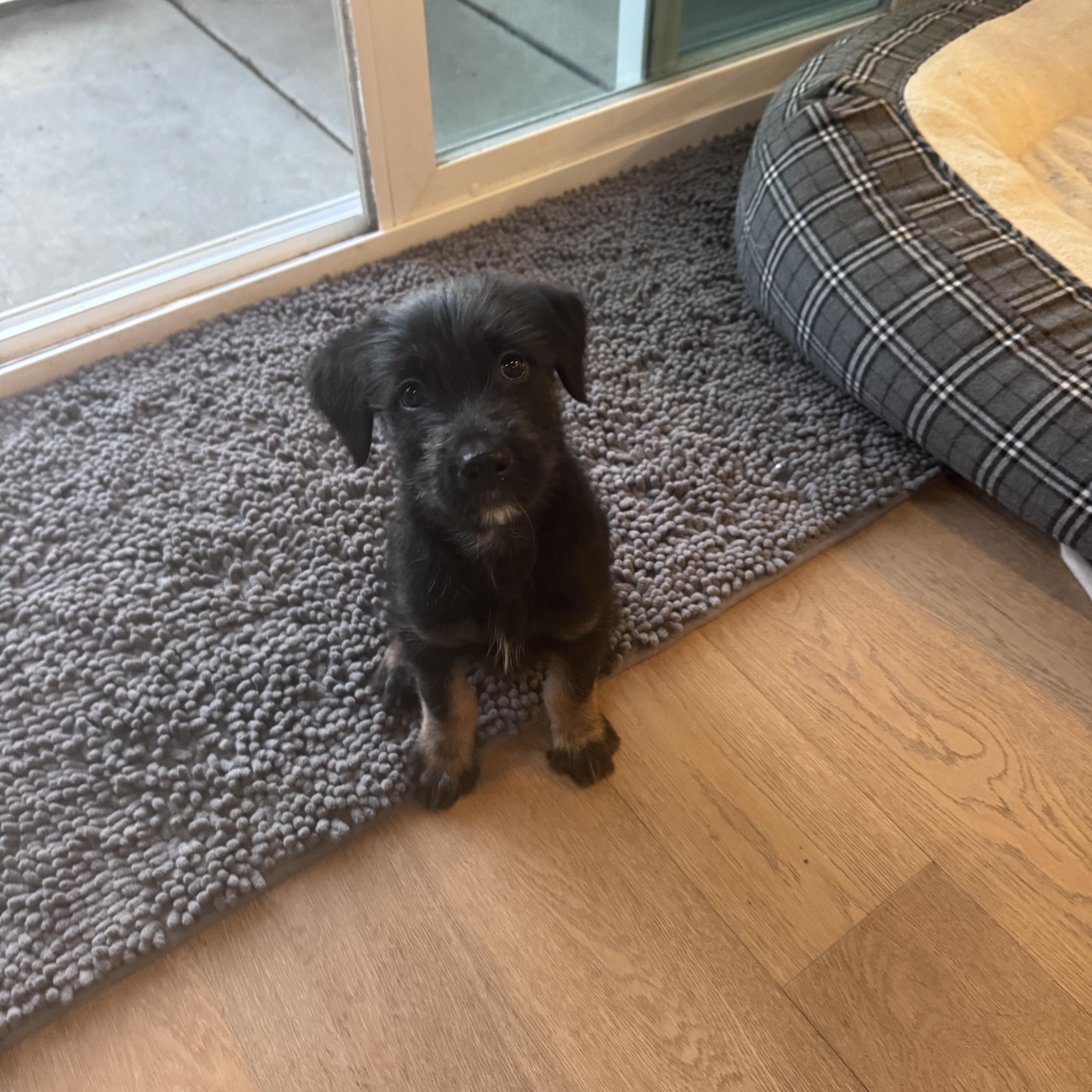 Sprocket thumbnail 4