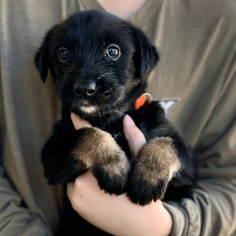 Sprocket thumbnail 5