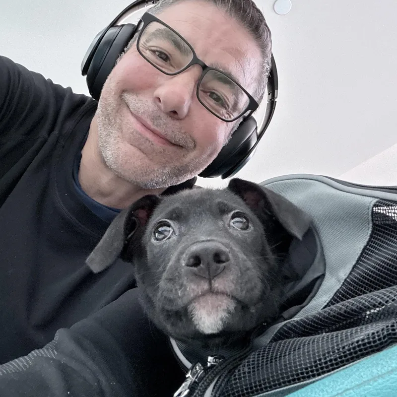 Polo  The Most thumbnail 6